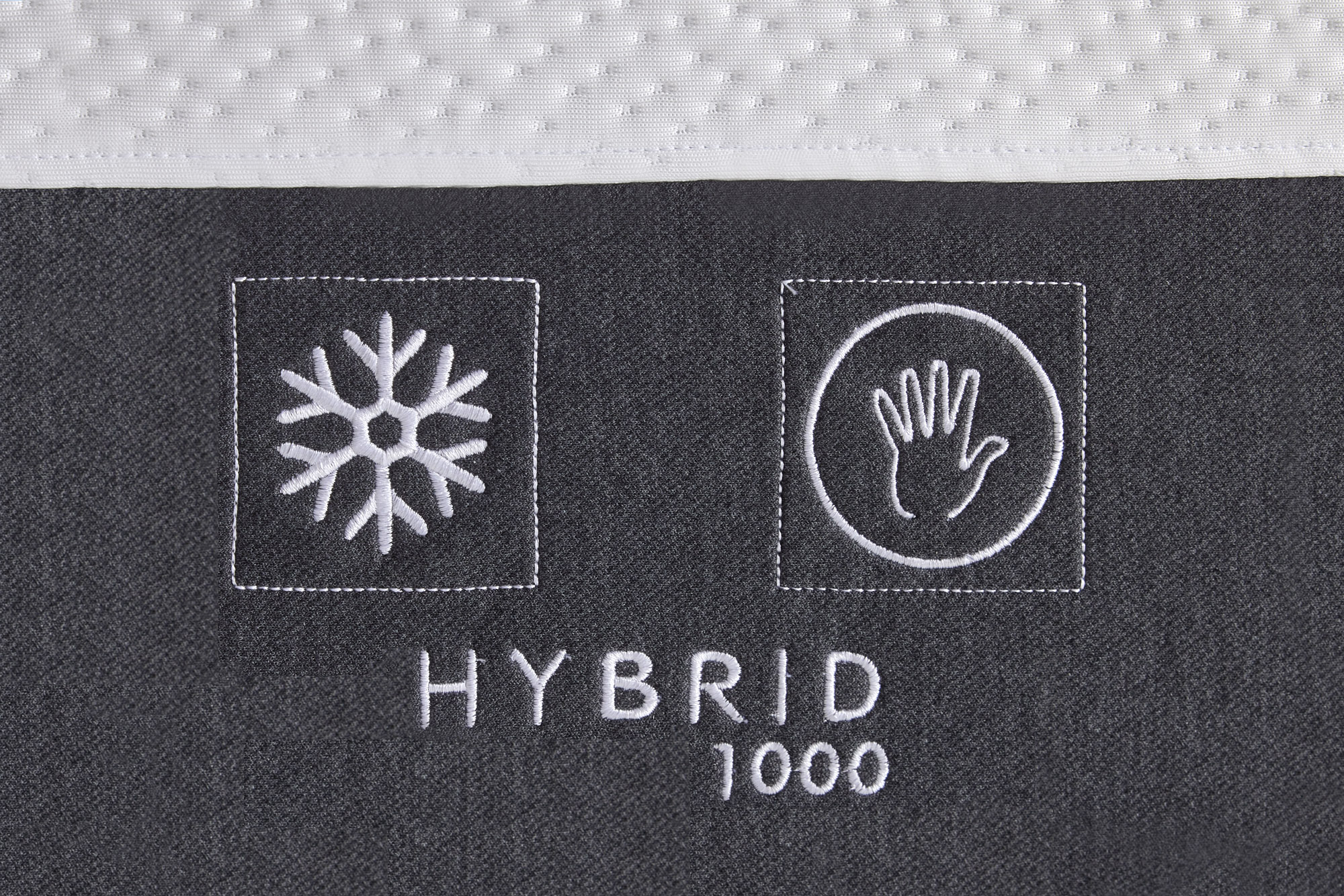 Hybrid 1000 photo 3
