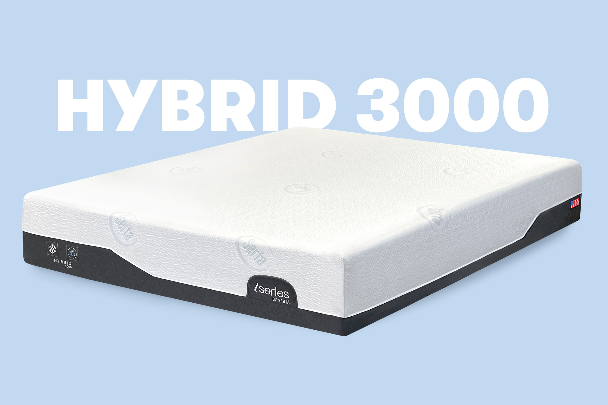 Hybrid 3000